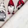 French Terry sommersweat Kerstwichtelmannetje – licht taupe,  thumbnail number 4