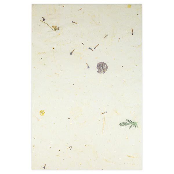 Set natuurlijk papier "Paper Nature Viola", image number 4