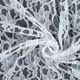 Kant Classic 12,  thumbnail number 2