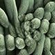 Bekledingsstof knus rib – riet,  thumbnail number 1