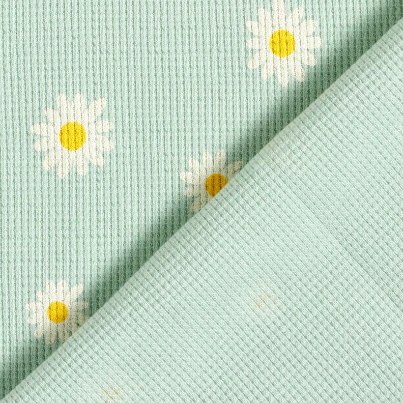 Wafel jersey Madeliefjes – licht mint,  image number 4