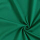 Romaniet jersey effen – dennengroen,  thumbnail number 1