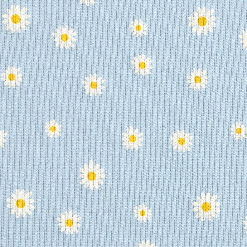 Wafel jersey Madeliefjes – zilverblauw,  image number 1