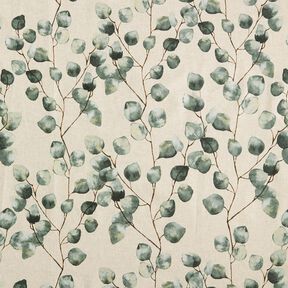 Gecoate katoen Eucalyptus-twijgen – natuur, 