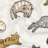 Katoenjersey Katten | Poppy Fabrics – natuur/bruin,  thumbnail number 2