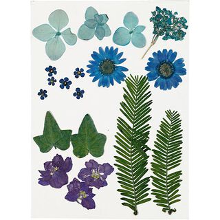 Geperste bloemen & Bladeren [19 delig] - blauw/groen, 