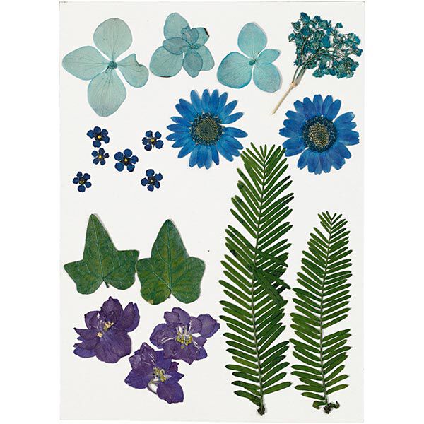 Geperste bloemen & Bladeren [19 delig] - blauw/groen,  image number 1