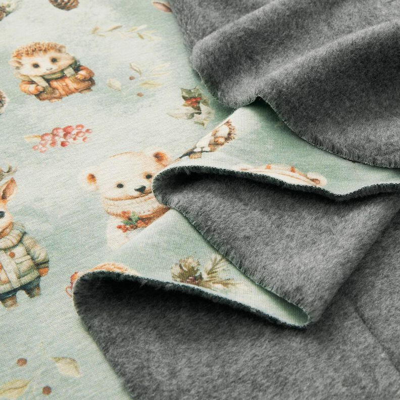 Alpenfleece Winteregel  – riet,  image number 5