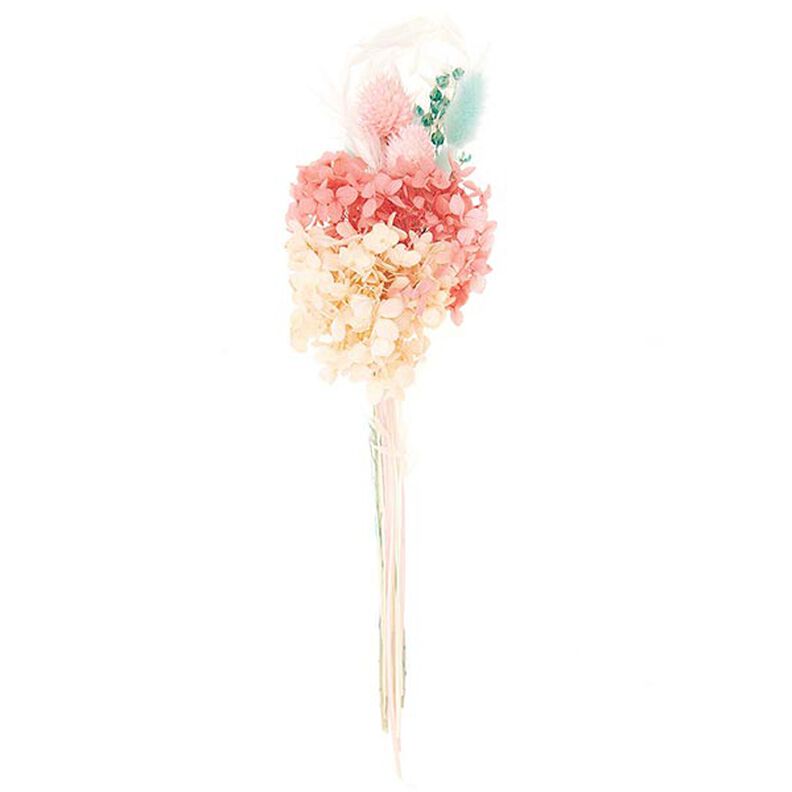 Set gedroogde bloemen [ 30 cm ] | Rico Design – turkoois,  image number 5