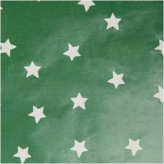 Cadeaupapier Sterren | Rico Design – groen, 