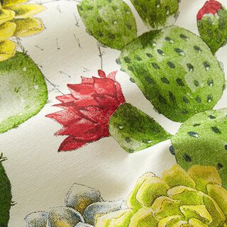 Decostof Canvas Cactussen – natuur/groen, 