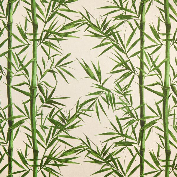 Halfpanama linnenlook bladeren – natuur, image number 1