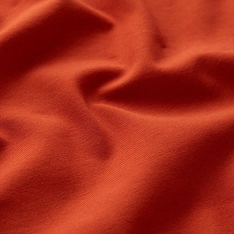 GOTS Katoenjersey | Tula – terracotta,  image number 2