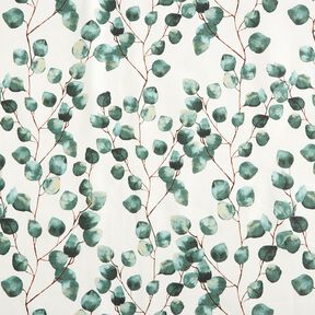 Gecoate katoen Eucalyptus – ivoor, 