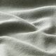 riet