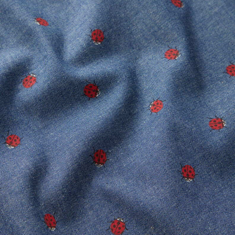 Chambray Lieveheersbeestje – jeansblauw,  image number 2