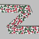Biaisband Fruit 1, 