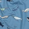 Katoenjersey schattige walvissen| Poppy Fabrics – blauwgrijs/marineblauw,  thumbnail number 2