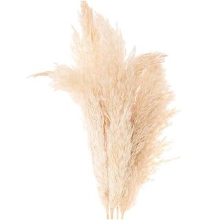 Gedroogd pampasgras [ 6 Stuk ] | Rico Design – natuur, 