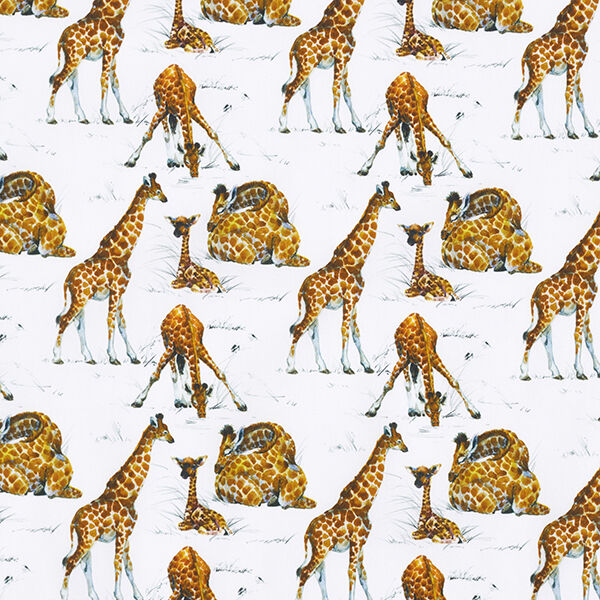 Katoenpopeline Digitaal printen Aquarel print giraffen | STENZO – wit, image number 1
