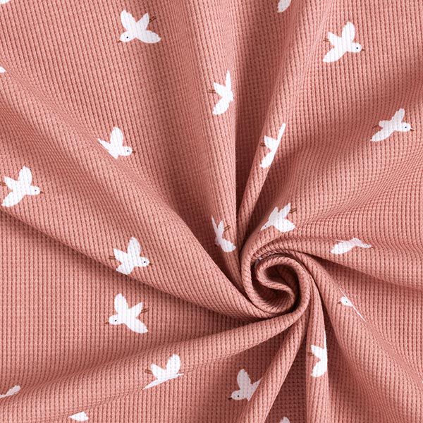 Wafel jersey Vogels – oudroze, image number 4