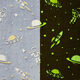 Gezellige fleece Glow in the dark universum – nachtblauw/creme,  thumbnail number 1