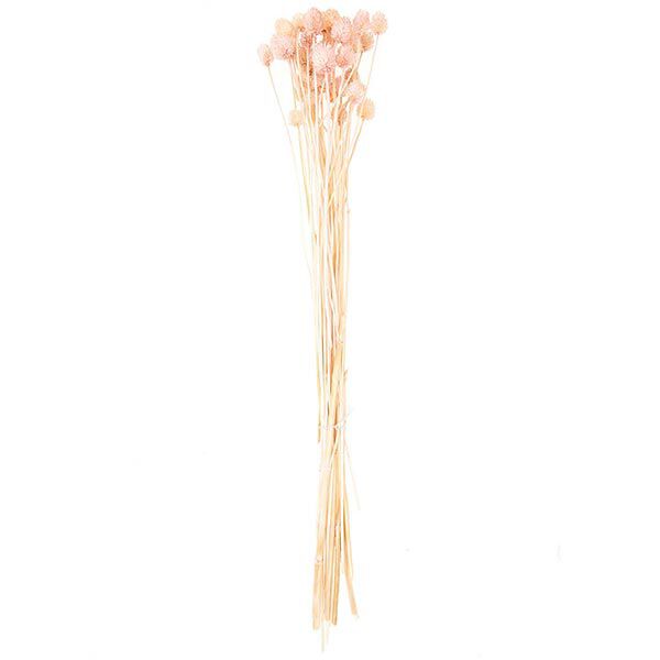 Gedroogde Japanse kaarde [ 50 g ] | Rico Design – pink,  image number 4
