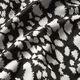 Jacquardjersey stippenpatroon – zwart/wit,  thumbnail number 2