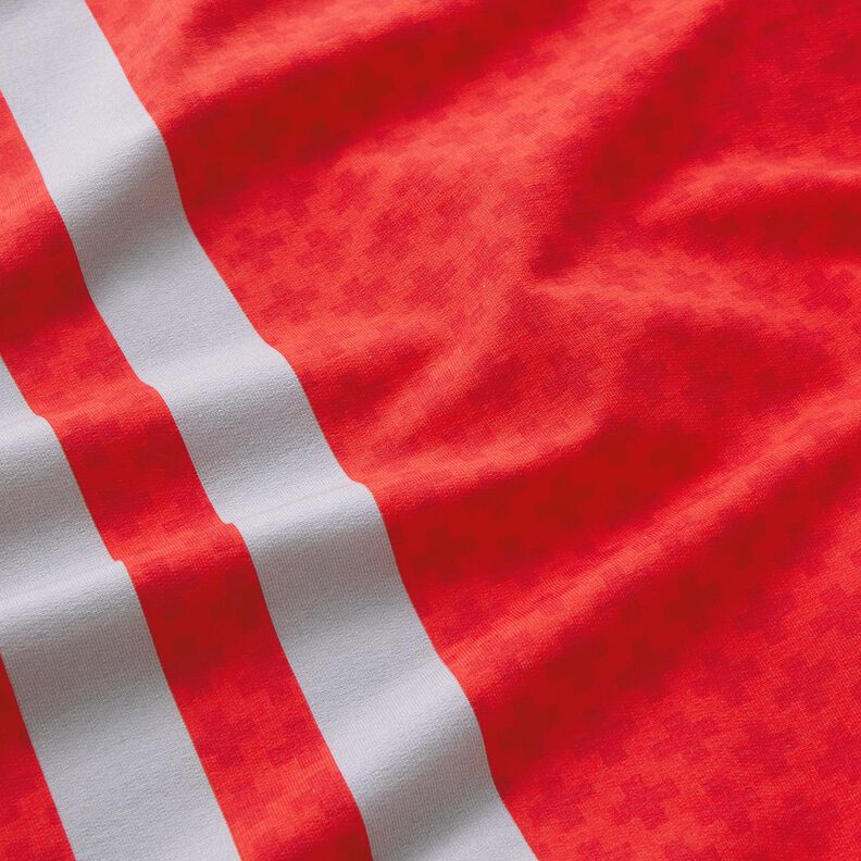 French Terry sommersweat Borduurstof Spoedarts zijn – rood/zilvergrijs,  image number 2