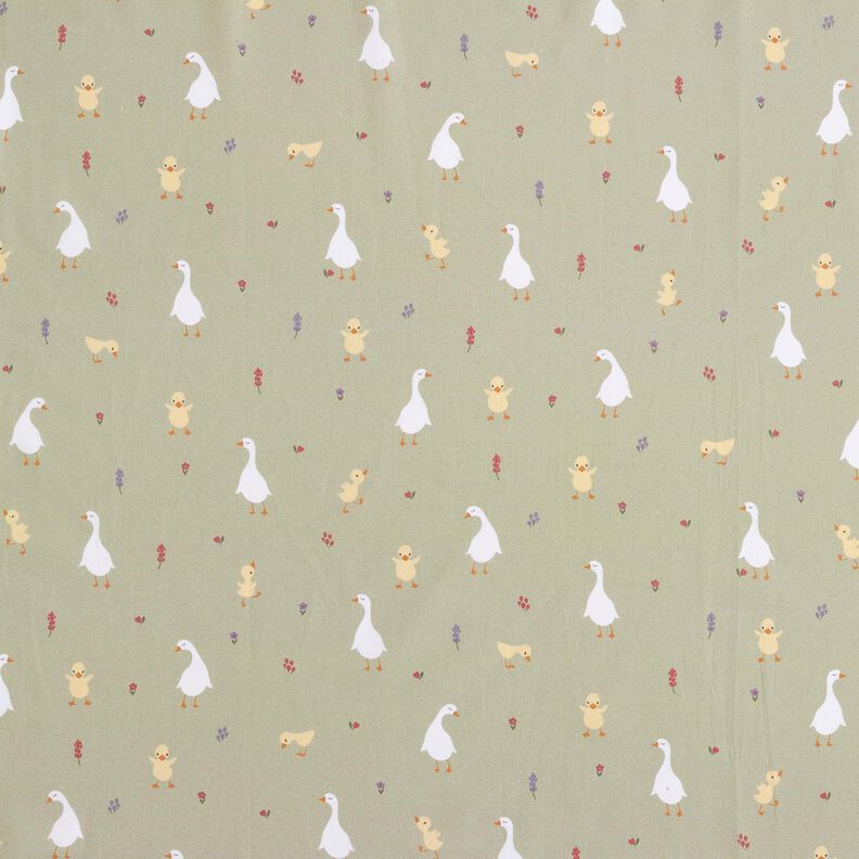 GOTS Katoenpopeline schattige ganzen en kuikens | Poppy Fabrics – greige,  image number 1