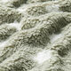 riet
