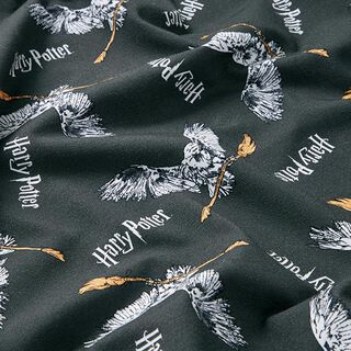 Katoenjersey Licentiestof Harry Potter, Hedwig met bezem | Warner Bros. – leigrijs, 
