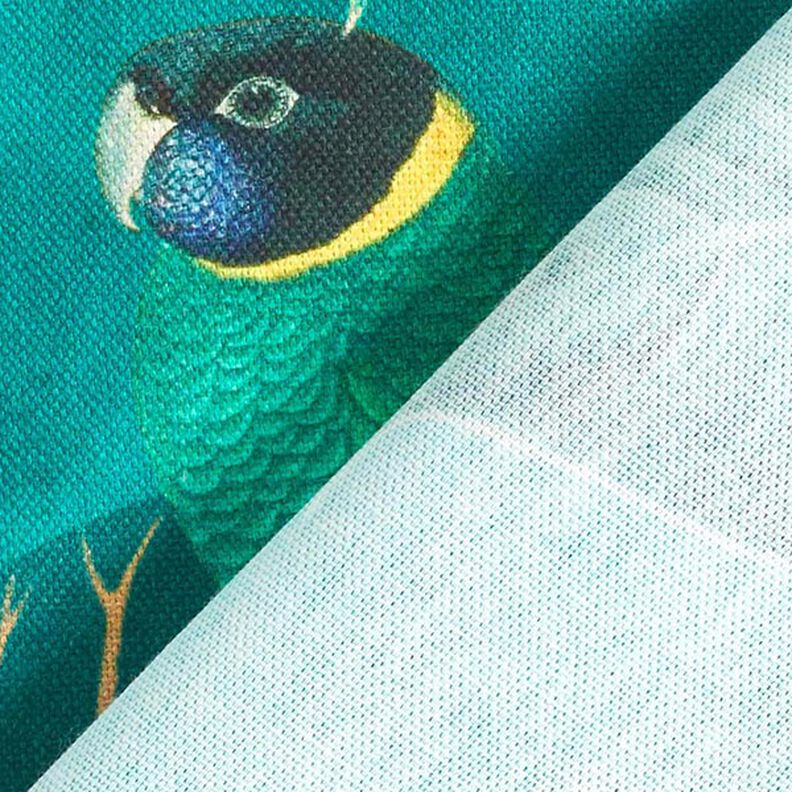 Decostof Canvas Paradijsvogels – donkergroen,  image number 4