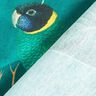Decostof Canvas Paradijsvogels – donkergroen,  thumbnail number 4