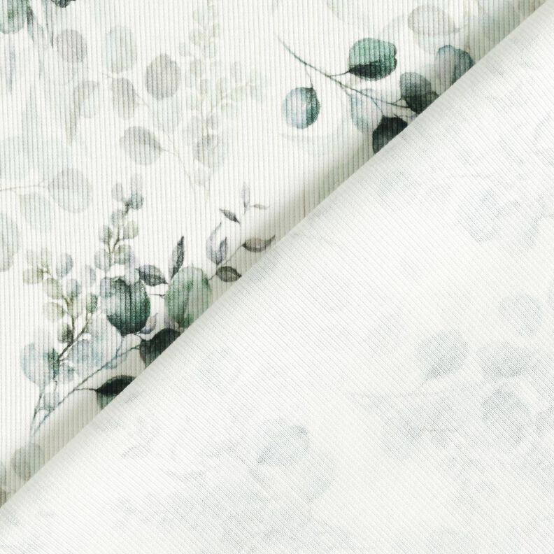 Ribjersey Eucalyptus Digitaal printen – ecru, image number 4