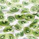 Katoenjersey Kiwi‘s – wit/appelgroen,  thumbnail number 2