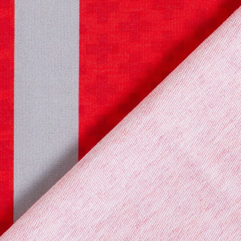 French Terry sommersweat Borduurstof Spoedarts zijn – rood/zilvergrijs,  image number 4
