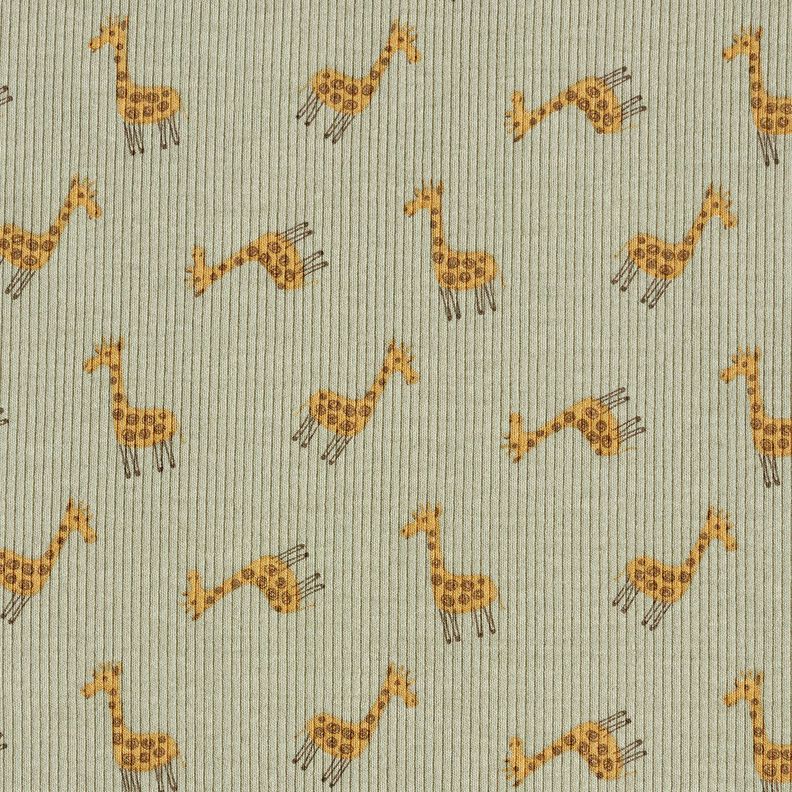Ribjersey Schattige giraffen – kaki, image number 1