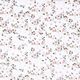 Zijde-viscose-satijn verspreide bloemen – wit,  thumbnail number 1