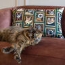 Decostof Half panama Katten portretten – donkergroen/goud,  thumbnail number 5