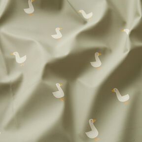 Regenjasstof kleine ganzen Digitaal printen – greige, 