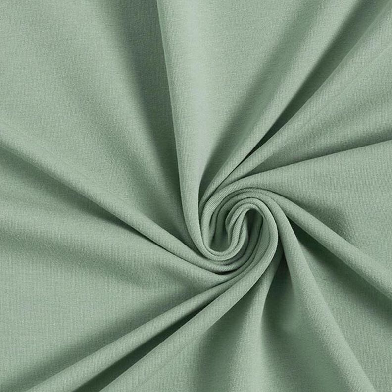 Lichte French Terry effen – riet,  image number 1