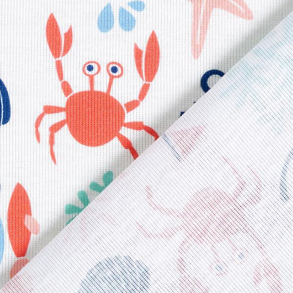 GOTS Ribjersey SEA SIDE Beachcombers | Hamburger Liebe | albstoffe – ecru, image number 4