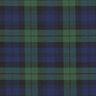 Schotse Ruit Stretch – navy/groen,  thumbnail number 1