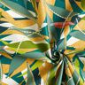 Gecoate katoen Delicate bladeren – blauwe spar/currygeel,  thumbnail number 4