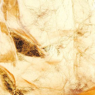 Washable Paper [48x100 cm] | RICO DESIGN - goud, 