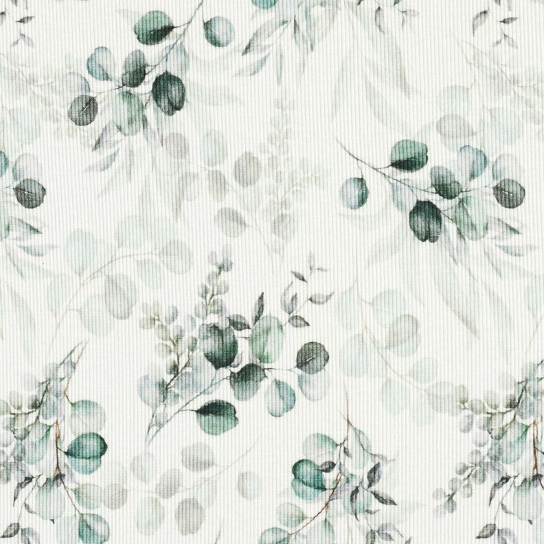 Ribjersey Eucalyptus Digitaal printen – ecru, image number 1