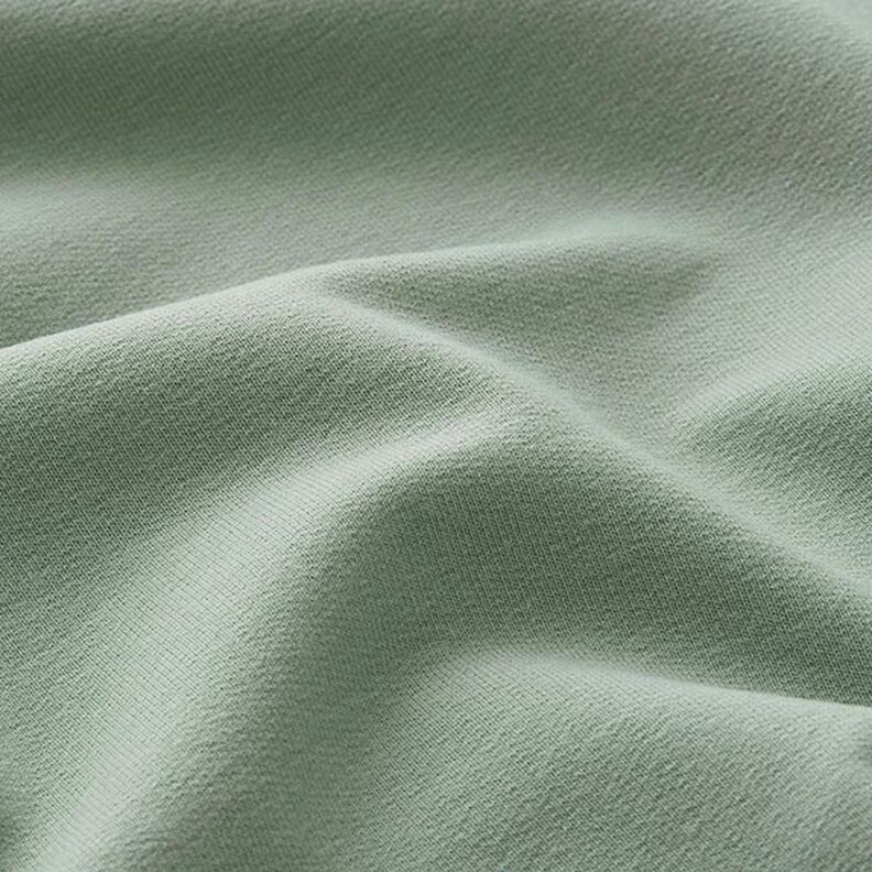 Lichte French Terry effen – riet,  image number 4
