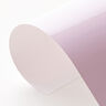Vinylfolie kleurverandering bij koude Din A4 – roos/pink,  thumbnail number 4