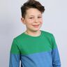 LEVI - shirt met lange mouwen en colourblocking, Studio Schnittreif | 86 - 152,  thumbnail number 4
